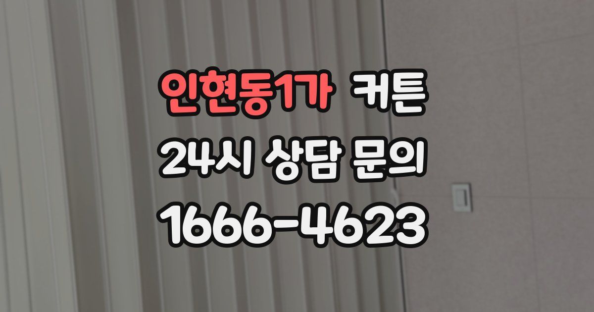 인현동1가 커튼