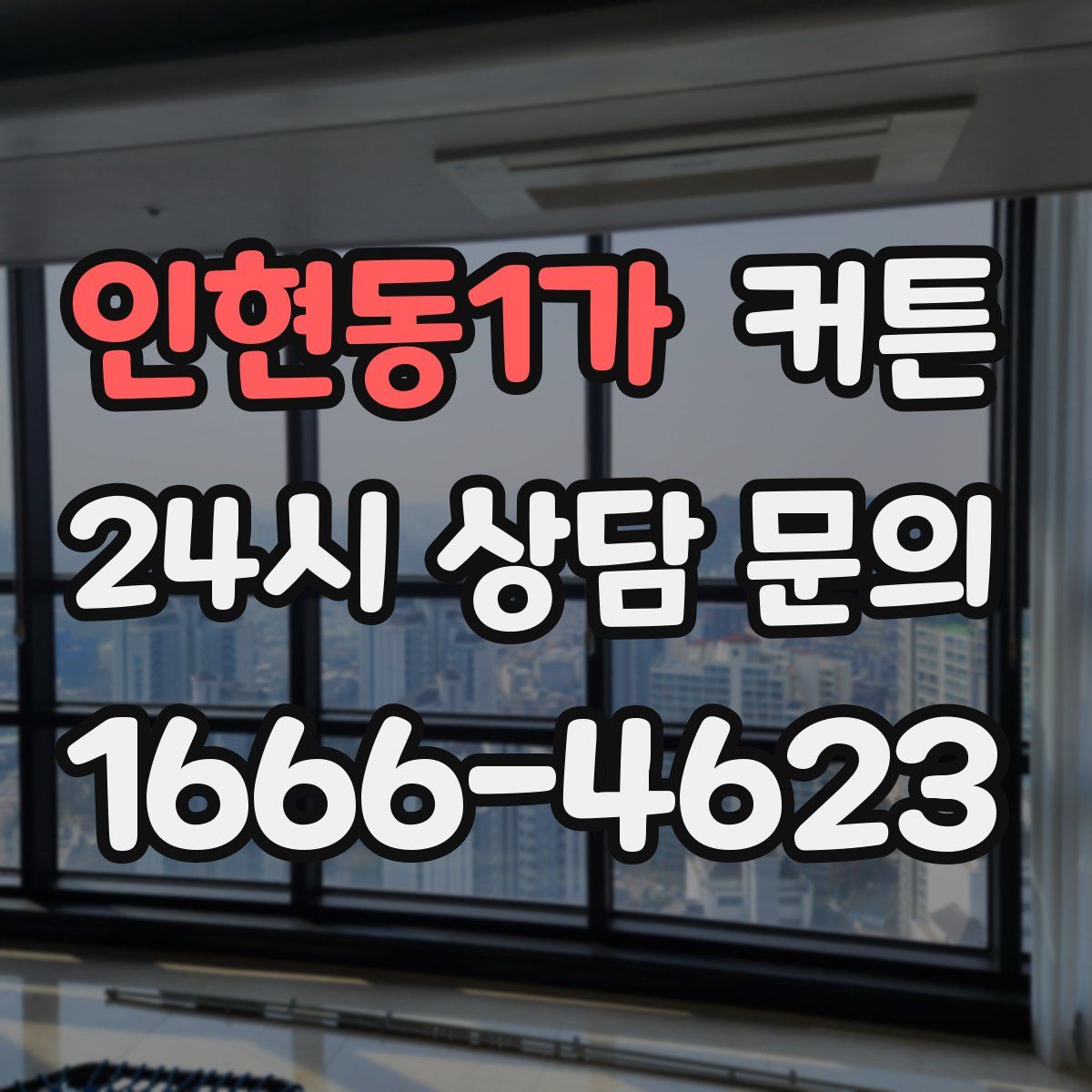 인현동1가 커튼