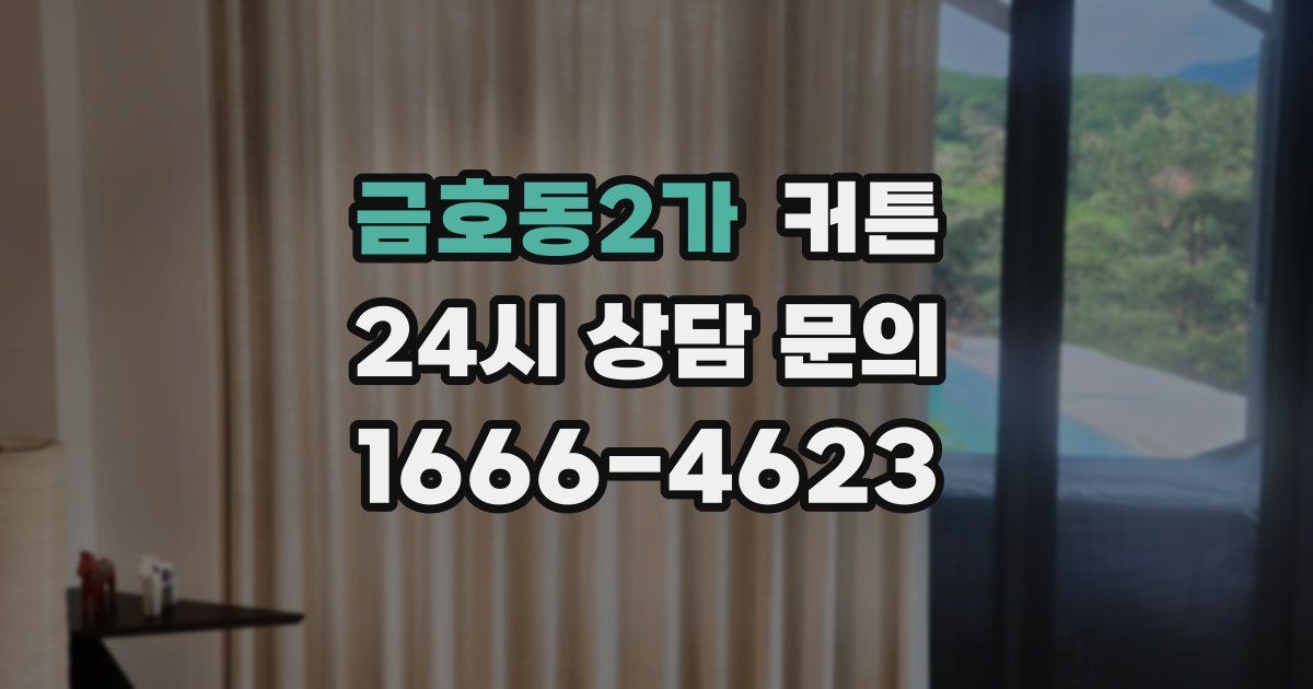 금호동2가 커튼