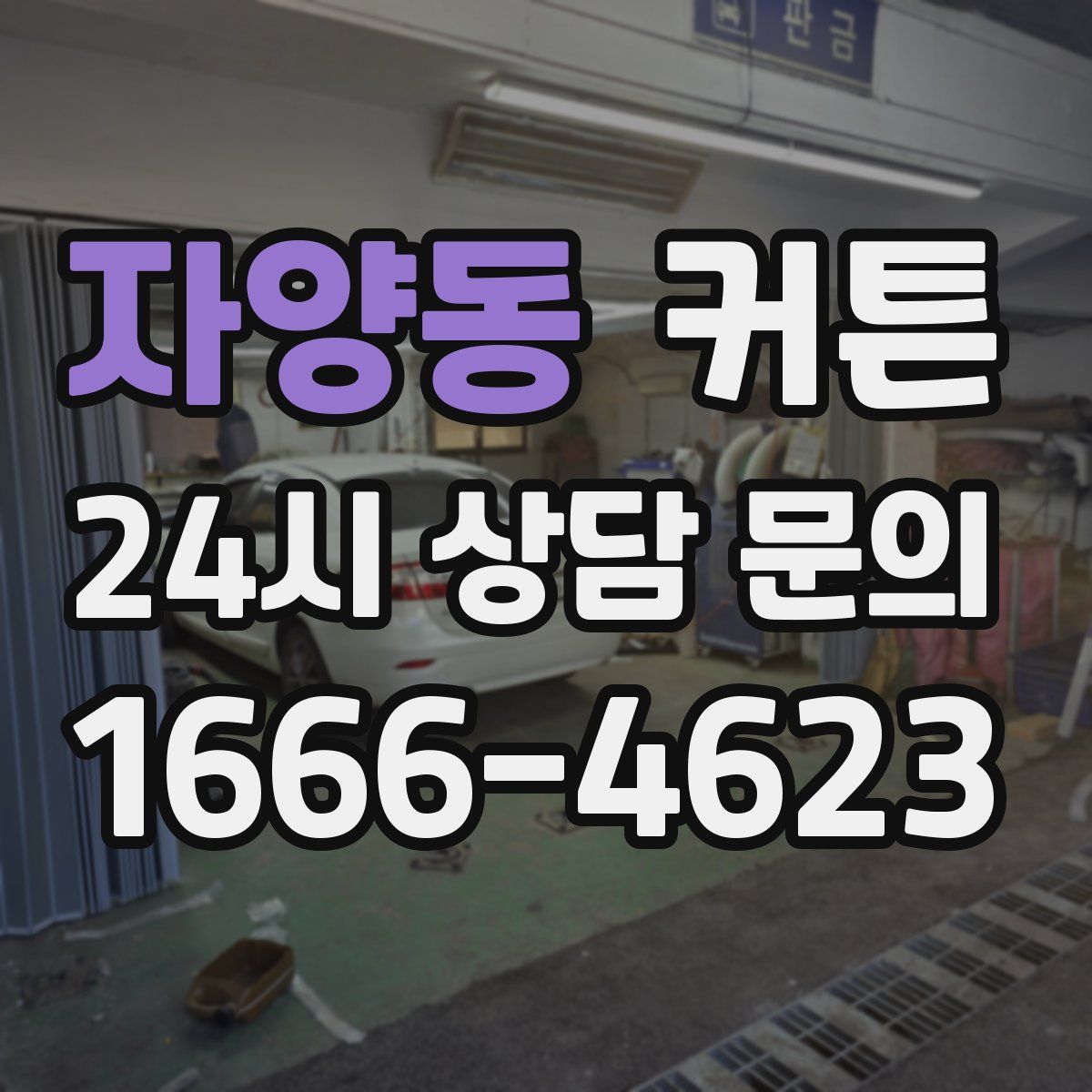 자양동 커튼