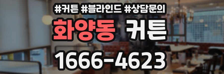 화양동 커튼