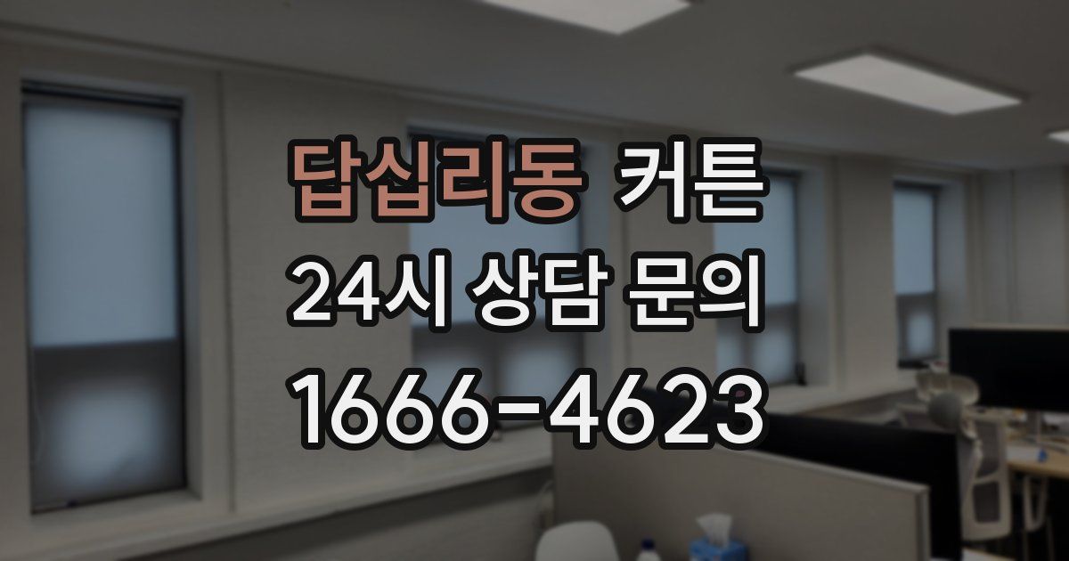 답십리동 커튼