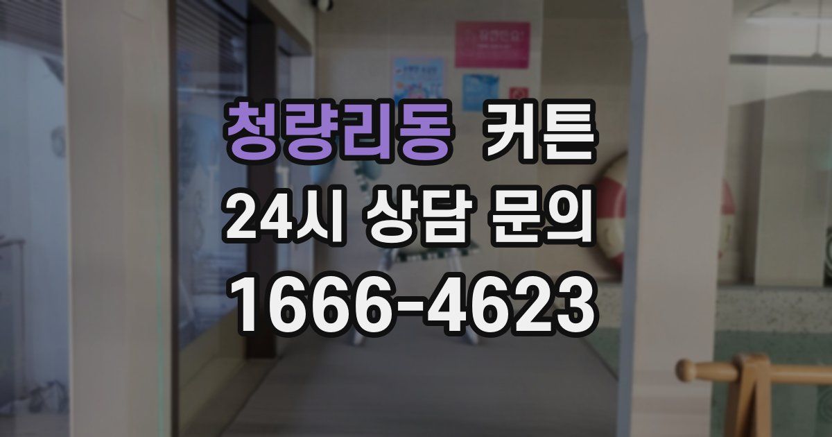 청량리동 커튼