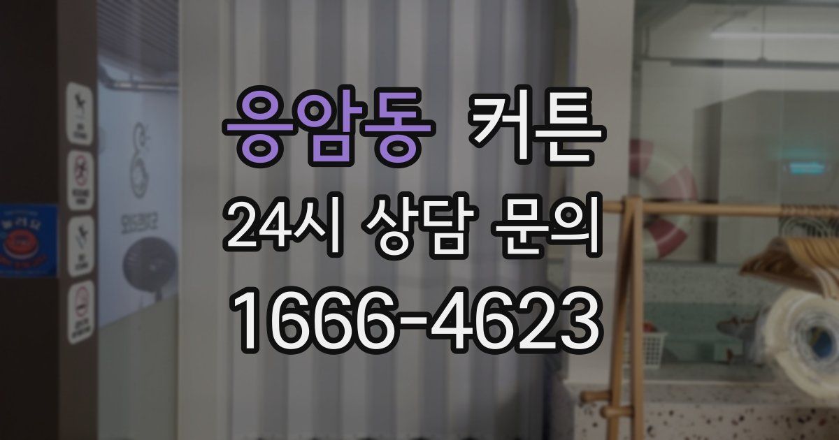 응암동 커튼