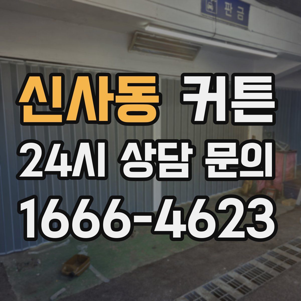 신사동 커튼