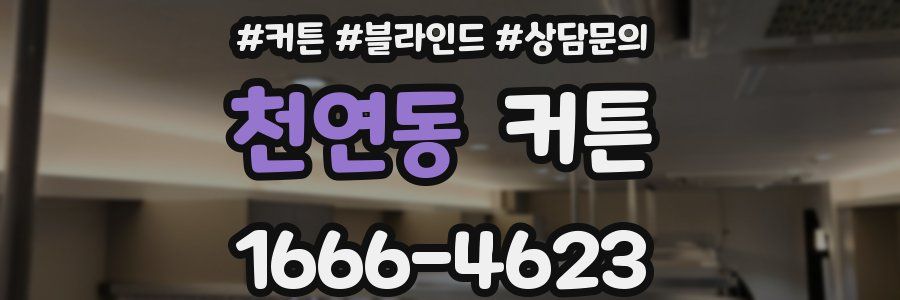 천연동 커튼