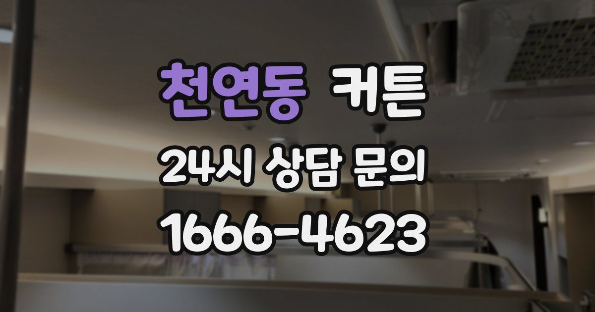 천연동 커튼