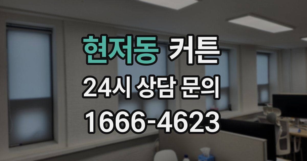 현저동 커튼