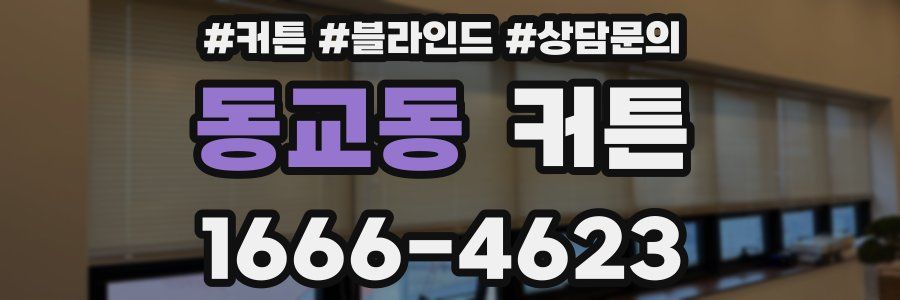 동교동 커튼