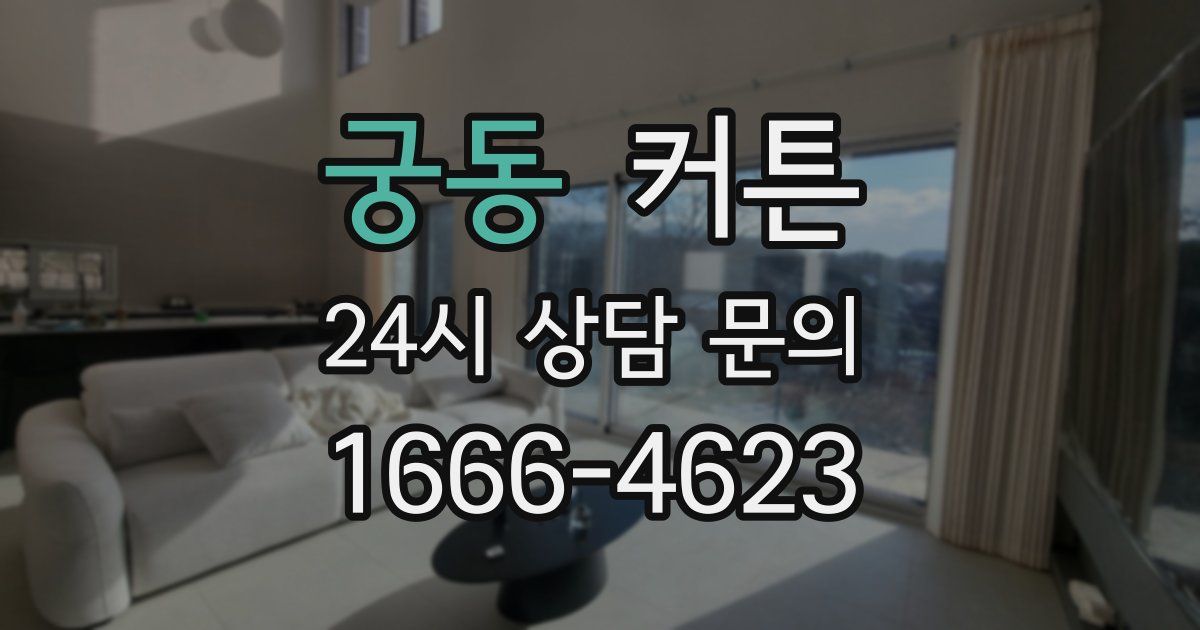 궁동 커튼