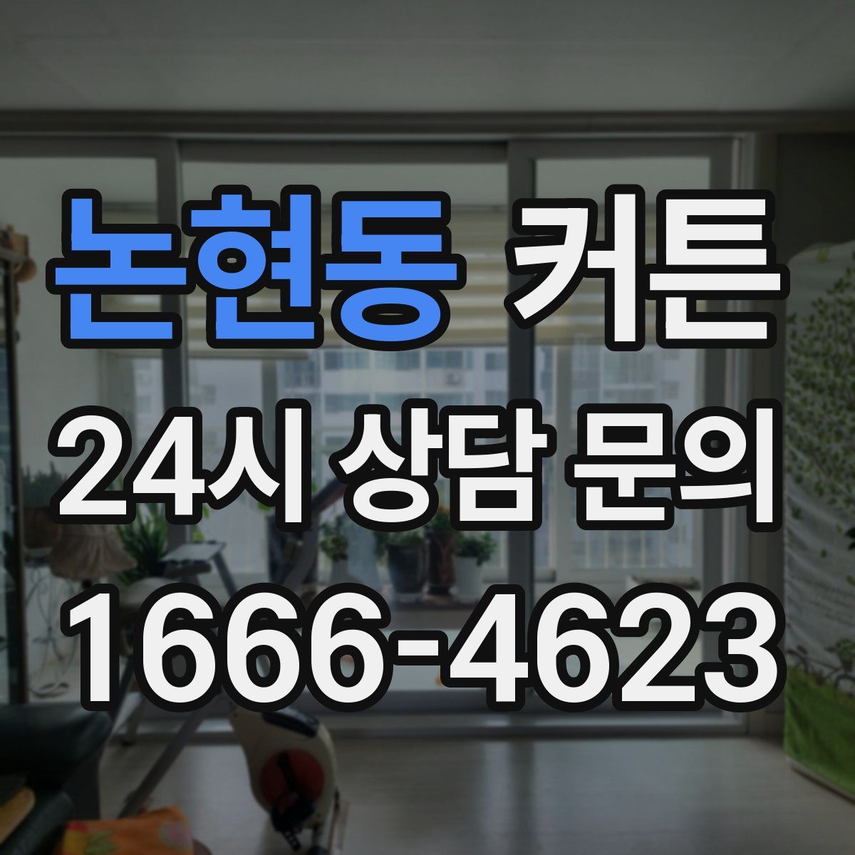 논현동 커튼