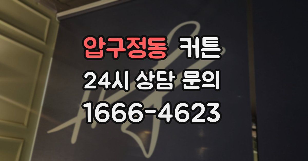 압구정동 커튼
