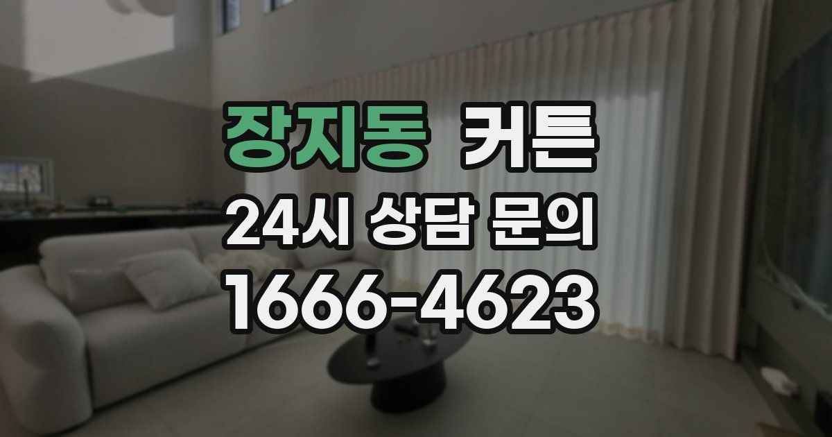 장지동 커튼