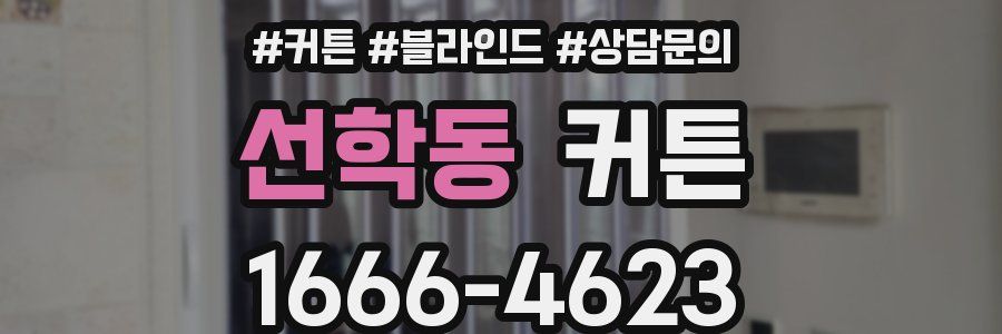 선학동 커튼