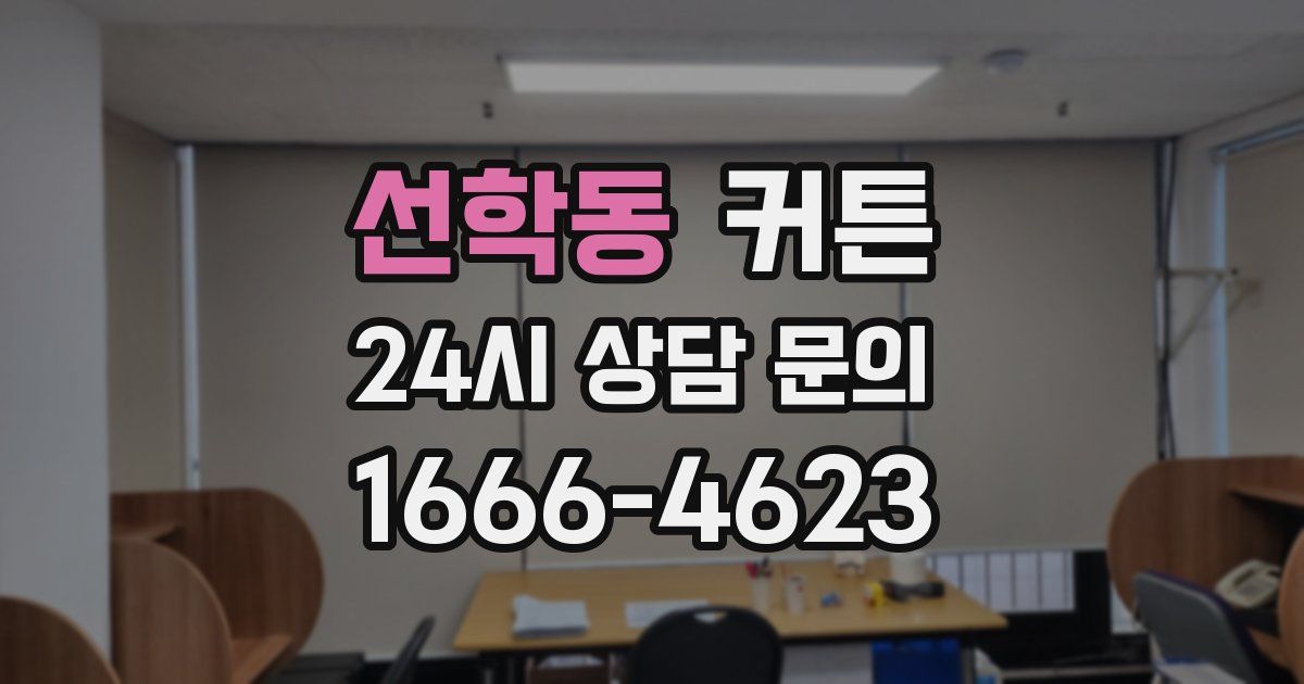 선학동 커튼