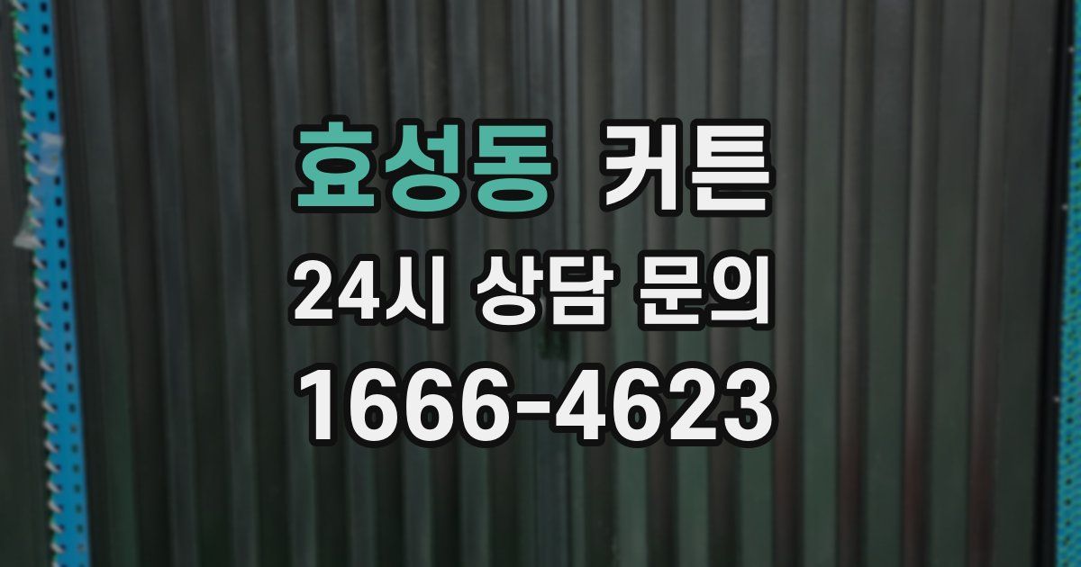효성동 커튼