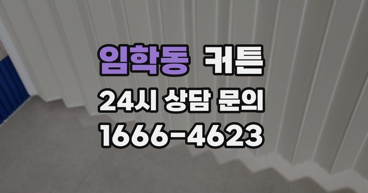 임학동 커튼