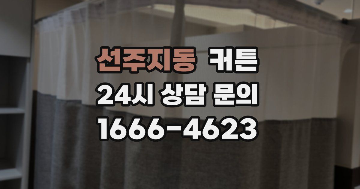 선주지동 커튼