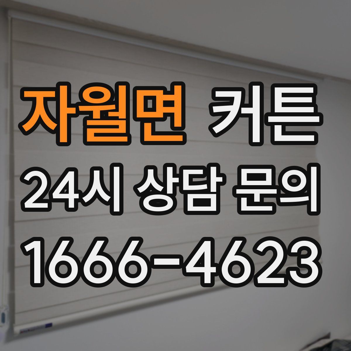 자월면 커튼