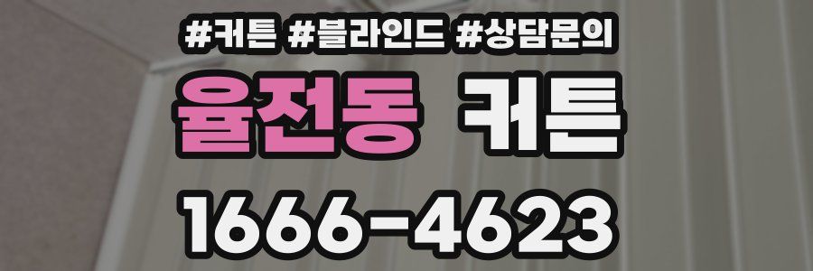 율전동 커튼