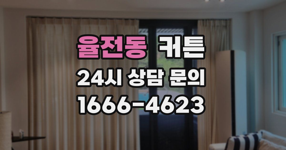 율전동 커튼