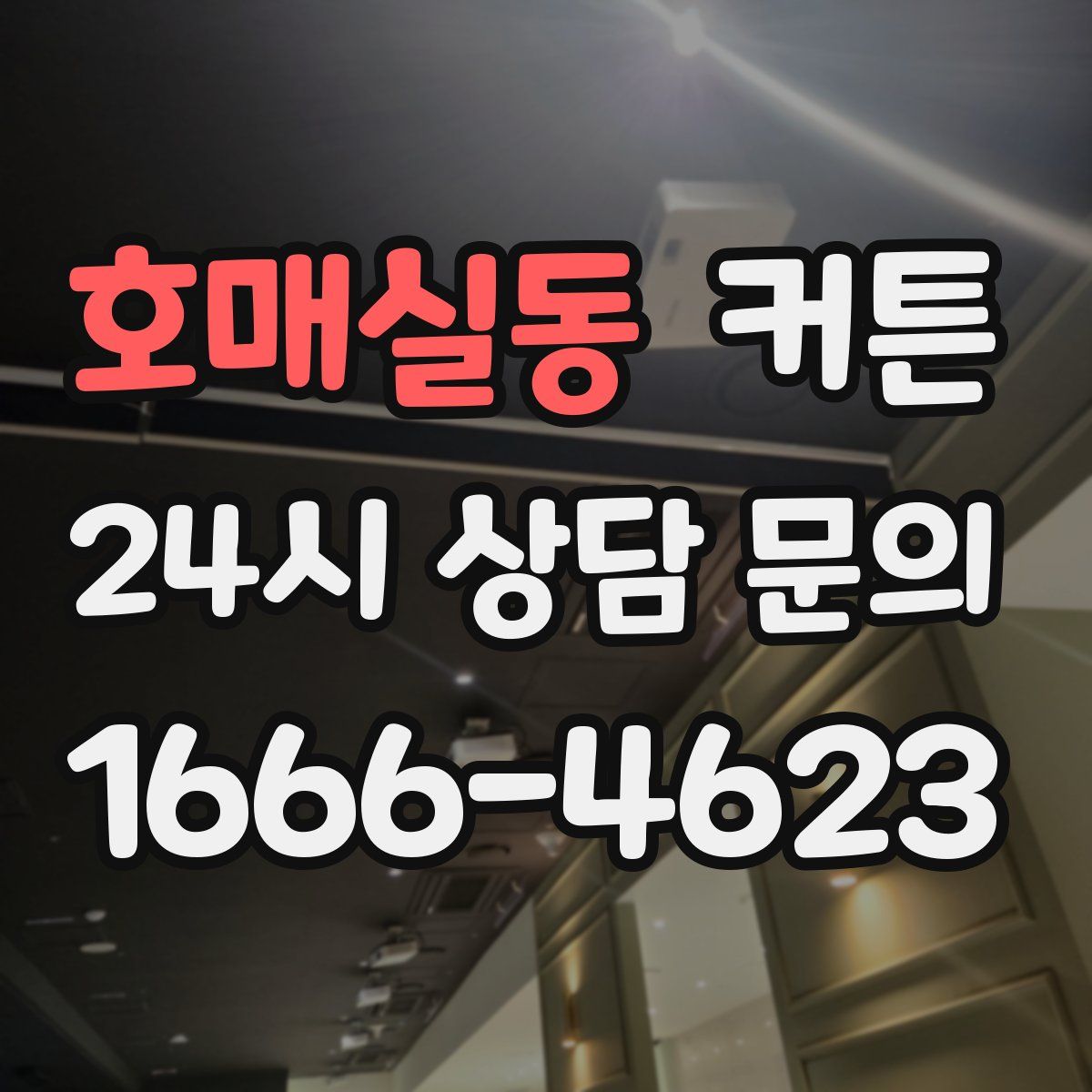 호매실동 커튼