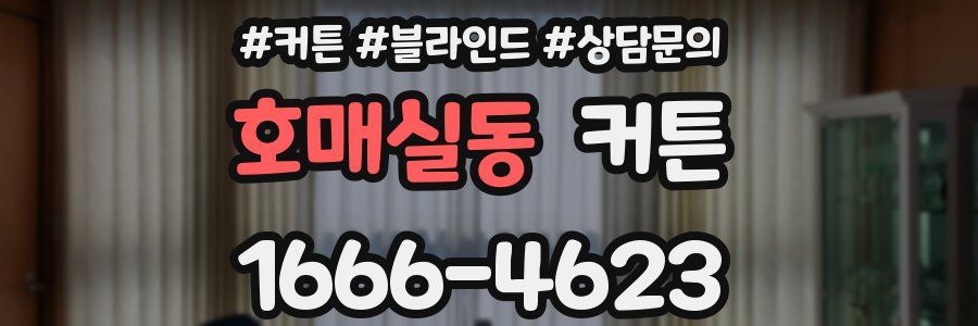 호매실동 커튼
