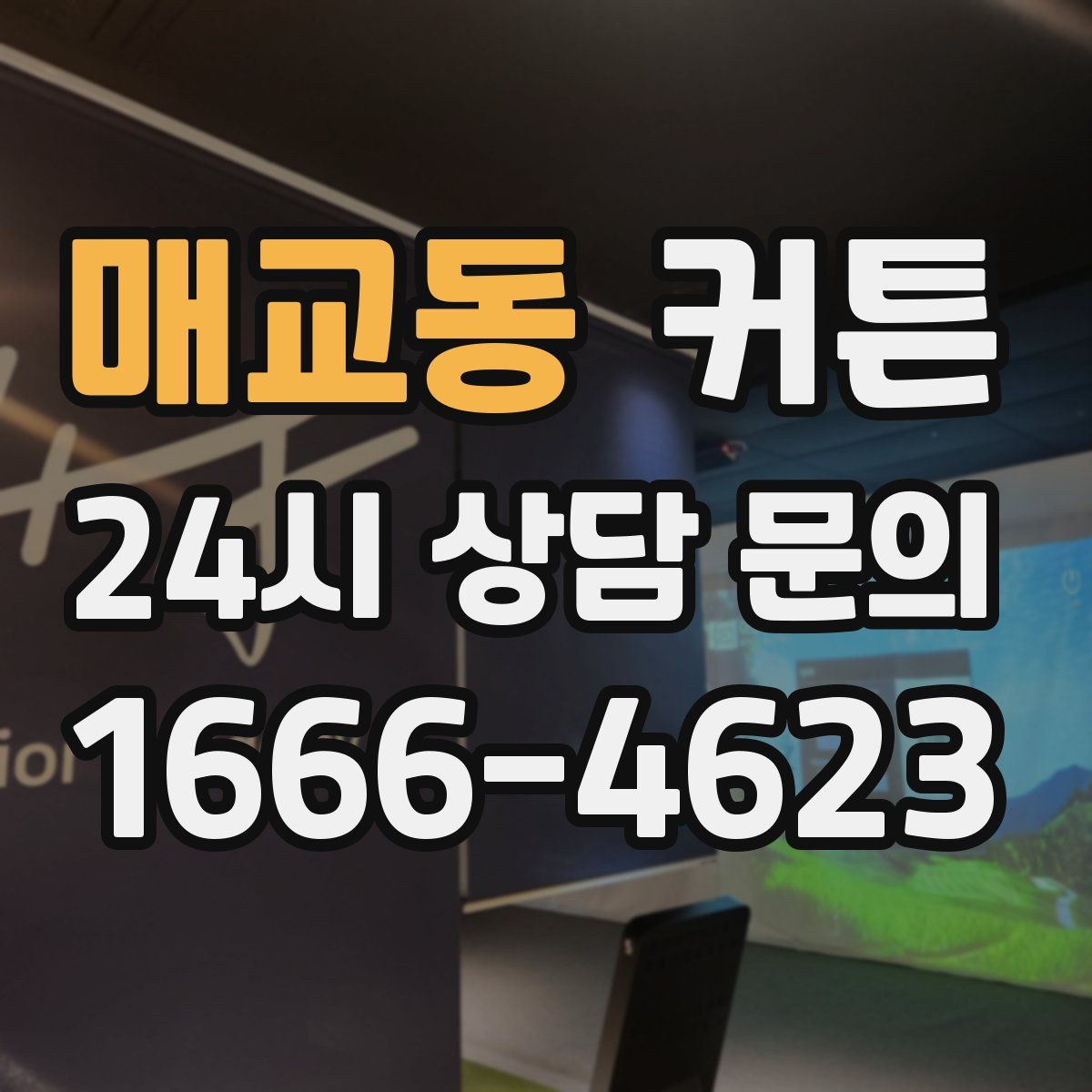 매교동 커튼
