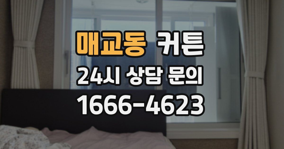 매교동 커튼