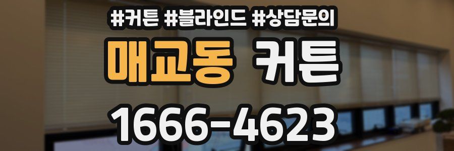 매교동 커튼