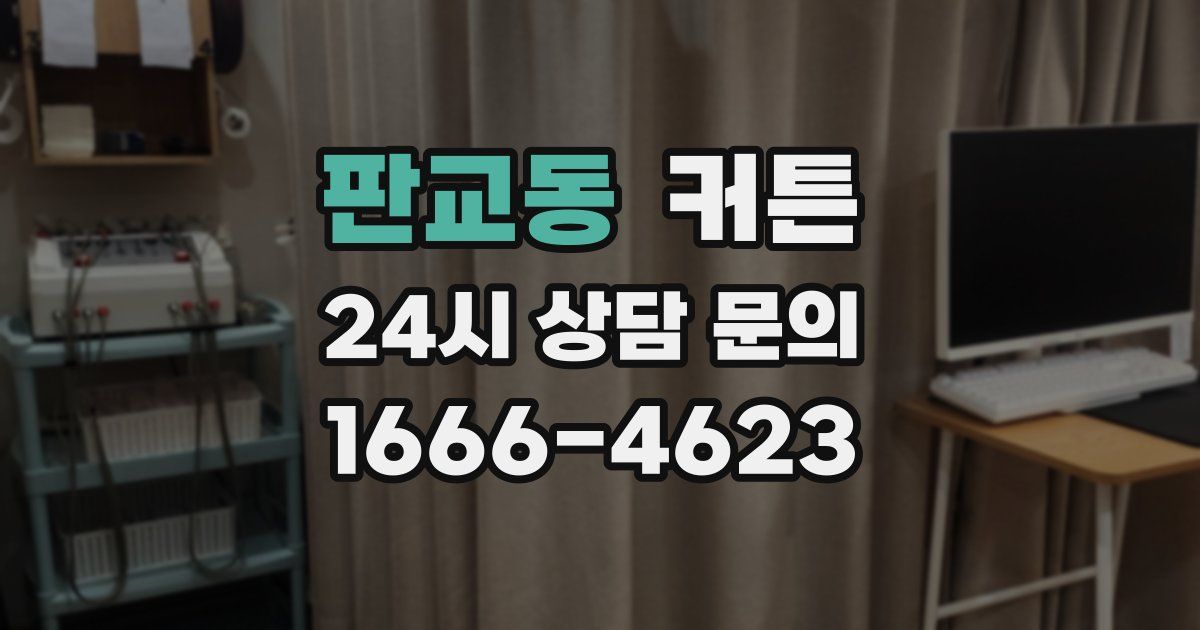 판교동 커튼
