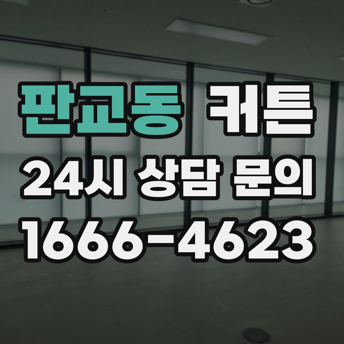 판교동 커튼
