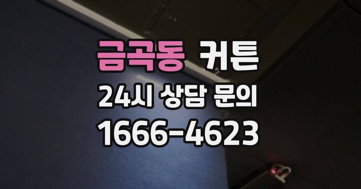 금곡동 커튼