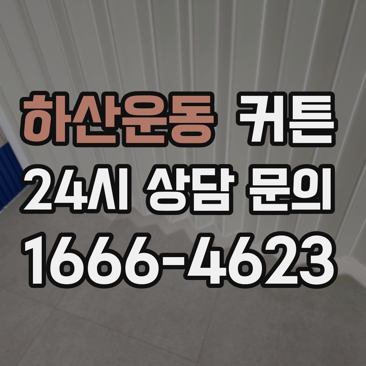 하산운동 커튼