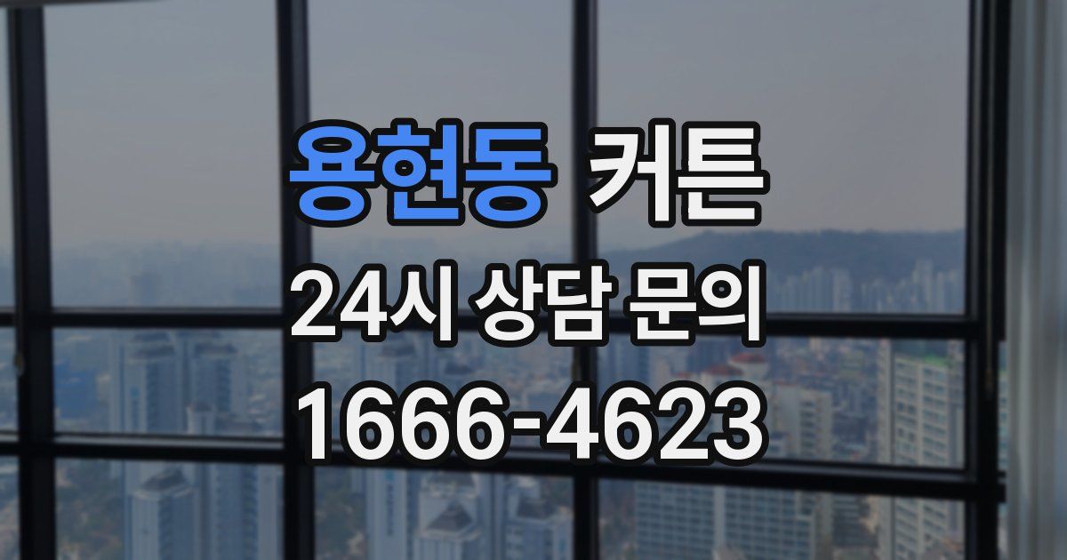 용현동 커튼