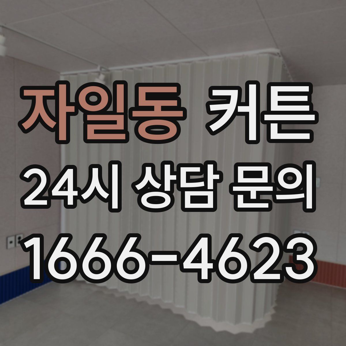 자일동 커튼