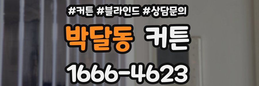 박달동 커튼