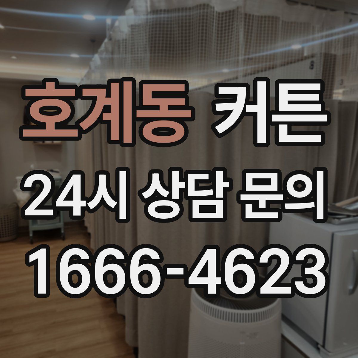 호계동 커튼
