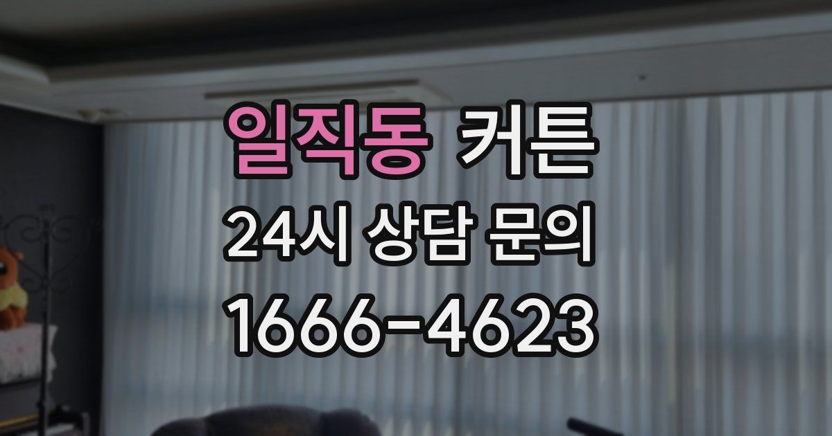 일직동 커튼