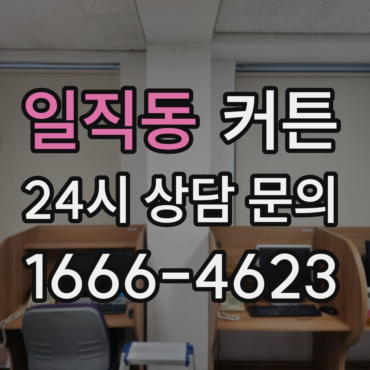 일직동 커튼