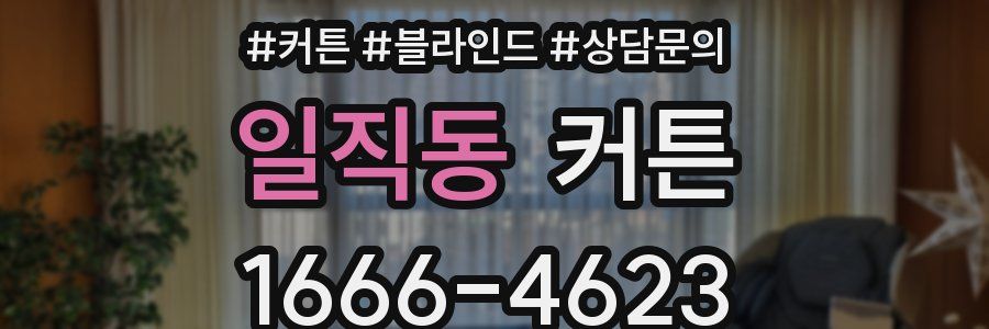 일직동 커튼