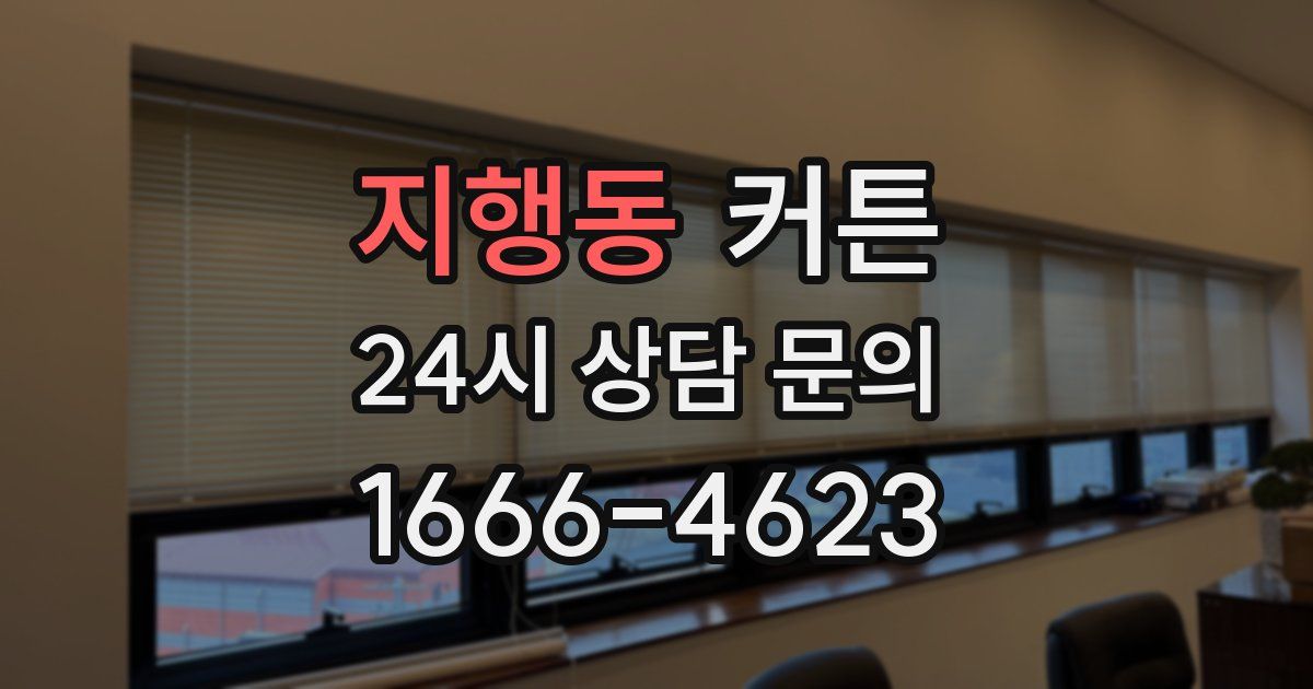 지행동 커튼