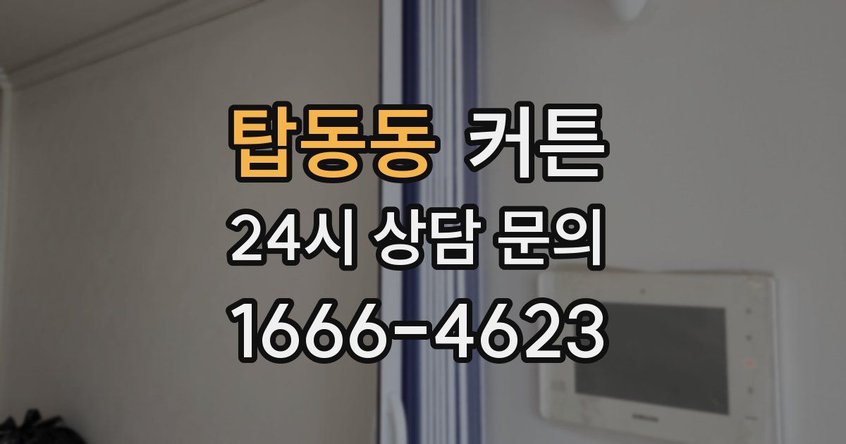 탑동동 커튼