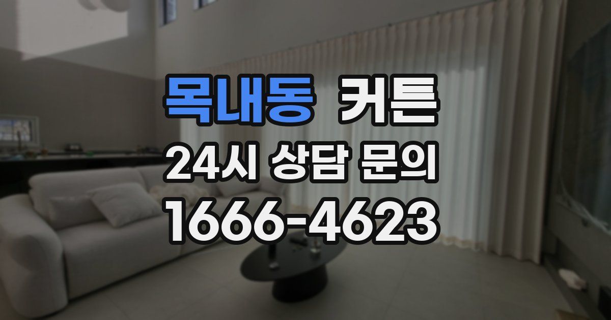 목내동 커튼