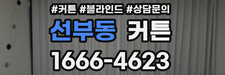 선부동 커튼