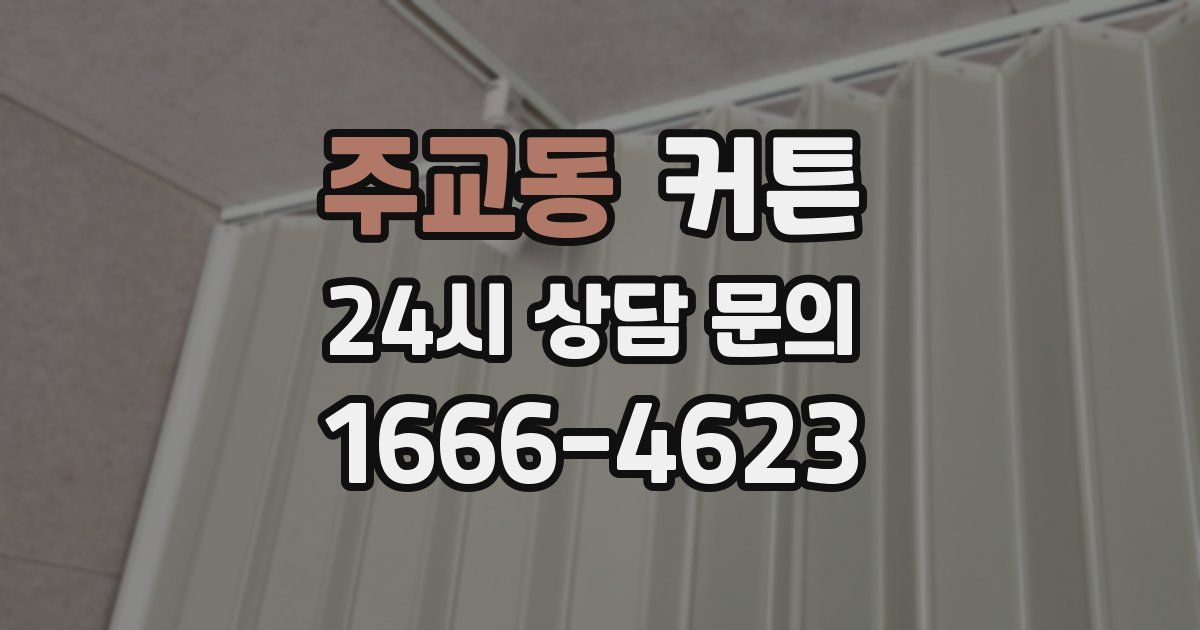 주교동 커튼
