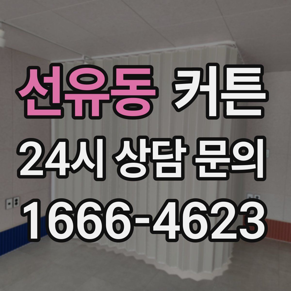 선유동 커튼
