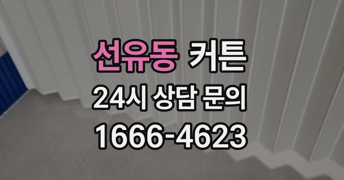 선유동 커튼