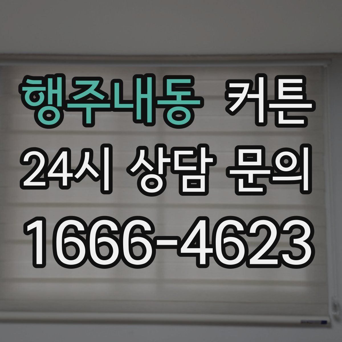 행주내동 커튼
