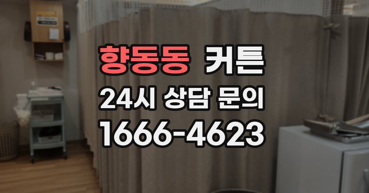 향동동 커튼